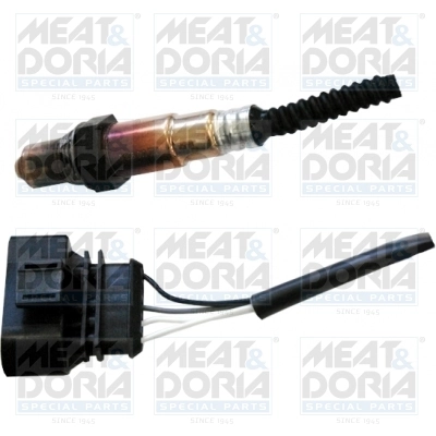 Oxygen Sensor